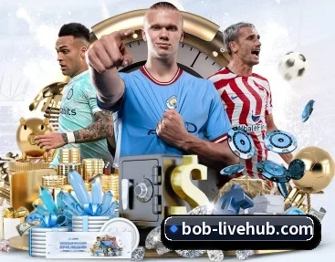 BOB体育的故事（BOBSPORTS）